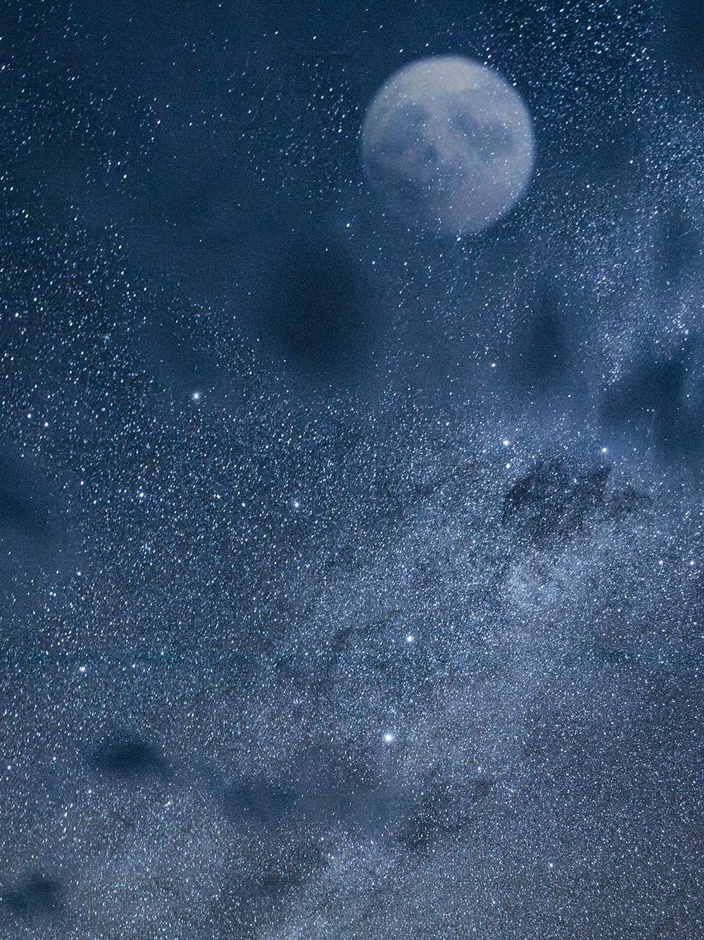 messika-terres-d-instinct-2025-kalahara-mosaique-1