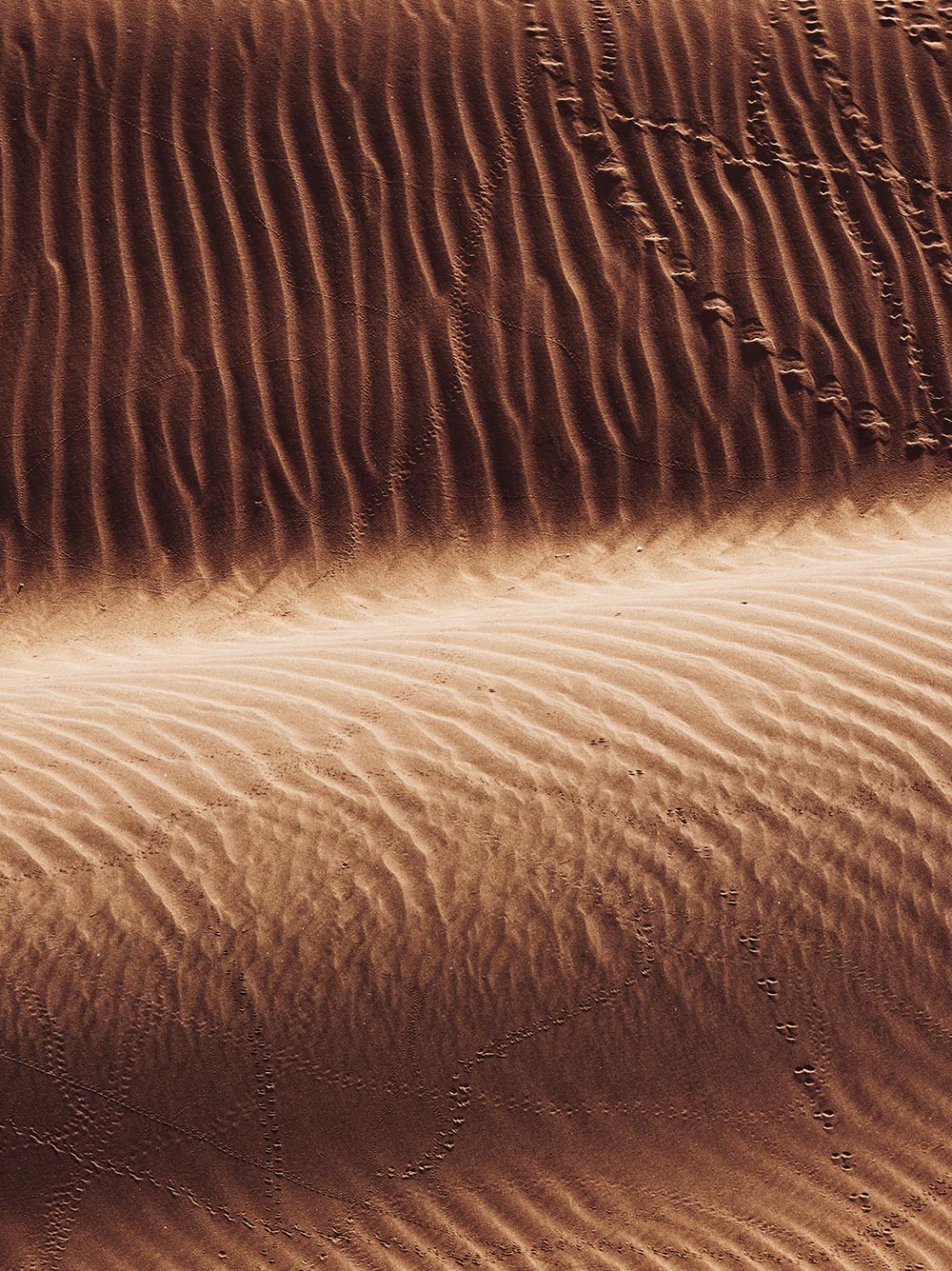 messika-terres-d-instinct-2025-mirage-mosaique-3