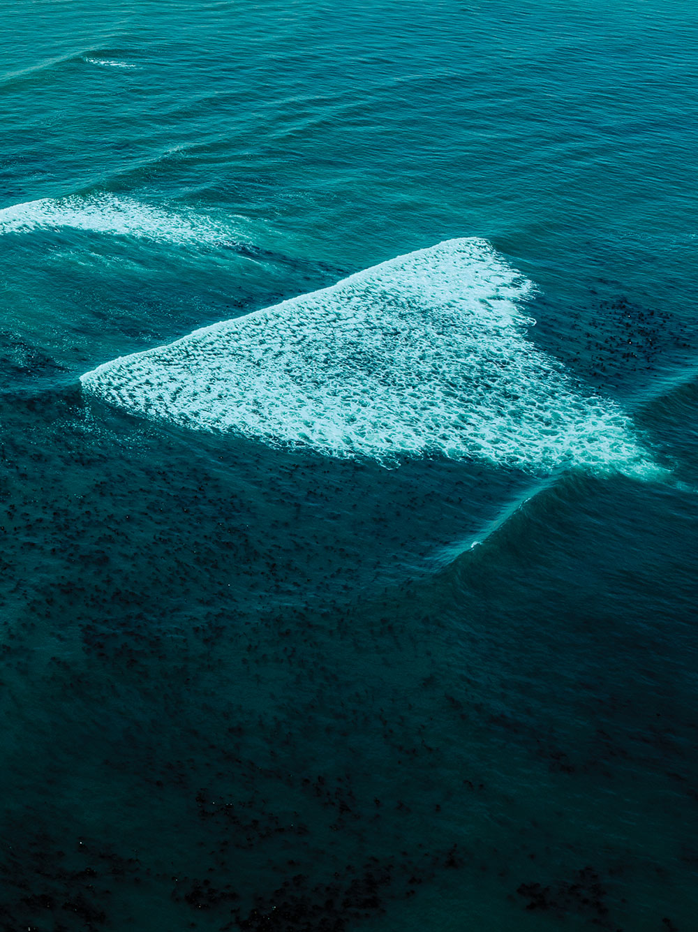 messika-terres-d-instinct-2025-zebra-mnyama-mosaique-1